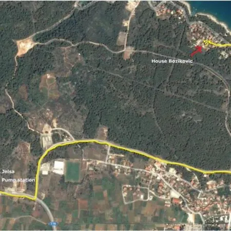 Bozikovic - - Vitarnja *