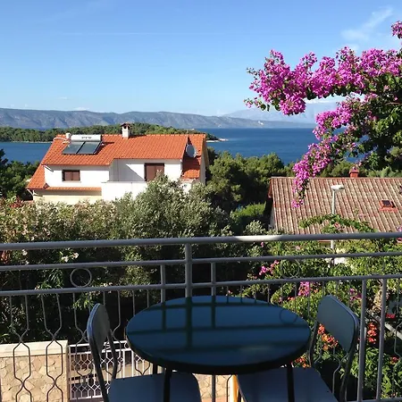 Bozikovic - - Vitarnja